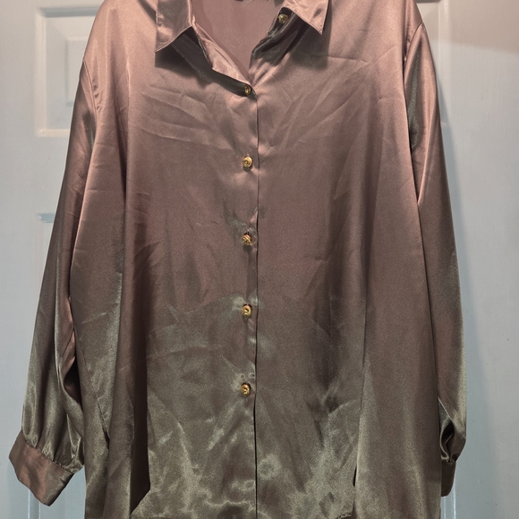 Joanna Plus Satin Blouse - Picture 1 of 5